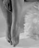 feathers
